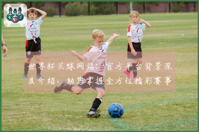 世界杯买球网站：官方平台背景深度介绍，助您掌握全方位精彩赛事与使用指南